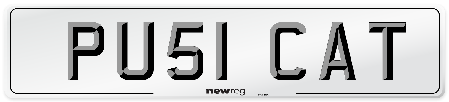PU51 CAT Number Plate from New Reg